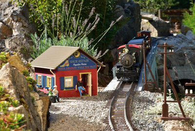 Piko G - 62725 - G Fertigmodell Schuster - Artikelbild