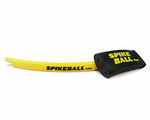 Spikeball Set PRO inkl. 2 Bällen - Artikelbild