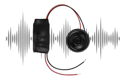 Faller H0 - 180258 - Mini-Sound-Effekt Rapunzel - Artikelbild