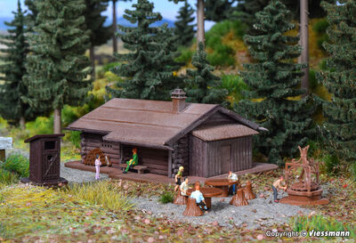 Vollmer N - 47727 - N Grillplatz mit Hütte - Artikelbild