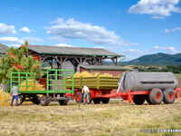 Kibri H0 - 10908 - H0 Landwirtschaftliche Anhänger, 3 Stück