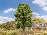 Faller H0 - 181573 - Eiche