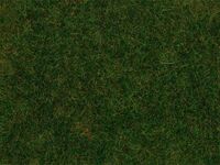 Faller H0 - 180485 - PREMIUM Streufasern, Gras, dunkelgrün, 6 mm, 30 g