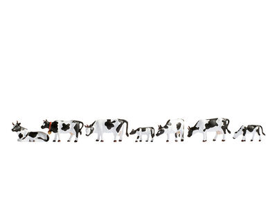 Noch 45721 Kühe, schwarz-weiß NEU - OVP - Artikelbild