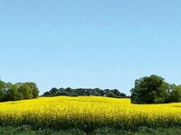 Faller - 180504 - Modellhintergrund Ostholstein