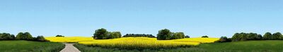 Faller - 180504 - Modellhintergrund Ostholstein - Artikelbild