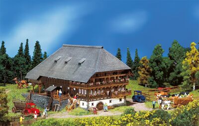 Faller N - 232258 - Schwarzwaldhof - Artikelbild