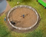 Faller H0 - 180339 - Longierzirkel - Artikelbild