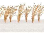 Faller H0 - 181287 - 26 Schilfpflanzen - Artikelbild