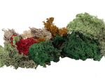 Faller H0 - 170730 - Islandmoos, gemischt, verschiedene Farben, 80 g - Artikelbild