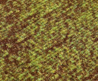 Faller H0 - 180471 - PREMIUM Landschafts-Segment, Acker - Artikelbild