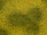 Faller H0 - 180488 - PREMIUM Landschafts-Segment, Wiese, hell
