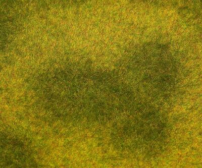 Faller H0 - 180488 - PREMIUM Landschafts-Segment, Wiese, hell - Artikelbild