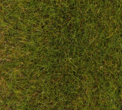 Faller H0 - 170771 - PREMIUM Streufasern Frühlingswiese, 6 mm, 30 g - Artikelbild