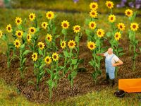 Faller H0 - 181256 - 16 Sonnenblumen