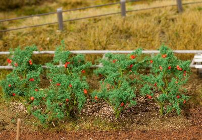 Faller H0 - 181259 - 18 Tomatenpflanzen - Artikelbild