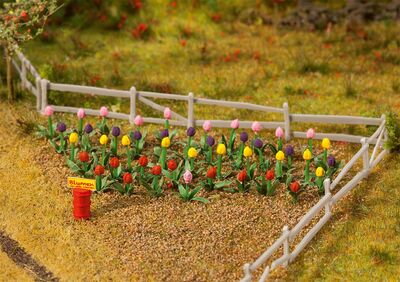 Faller H0 - 181262 - 36 Tulpen - Artikelbild