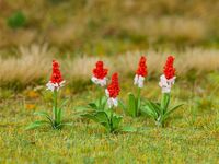 Faller H0 - 181267 - 32 Orchideenprimeln