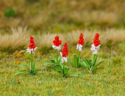 Faller H0 - 181267 - 32 Orchideenprimeln - Artikelbild