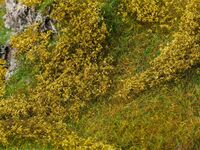 Faller H0 - 181615 - Blätterfoliage, hellgrün