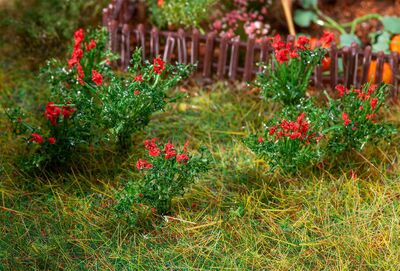 Faller H0 - 181281 - 26 Rosen - Artikelbild