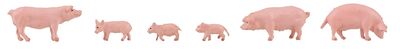 Faller H0 - 151910 - Schweine - Artikelbild