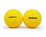 Standard Spikeball Ersatzball (2er Pack) - Artikelbild