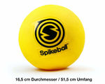 ROOKIE Spikeball Ersatzball (2er Pack) - Artikelbild